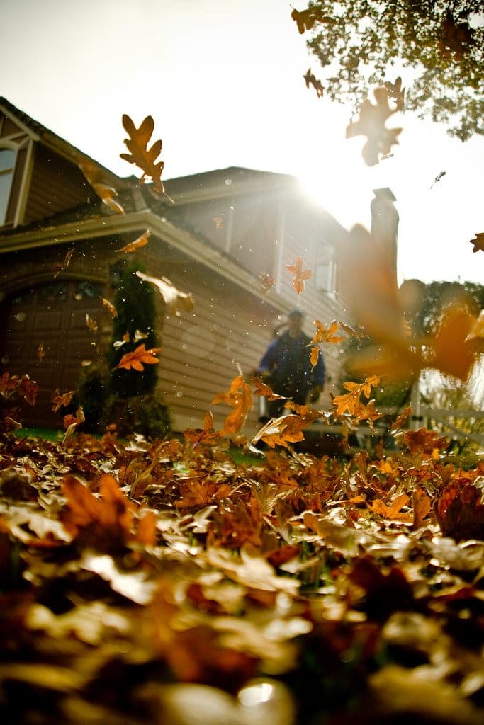 Handheld leaf blower clearing a driveway