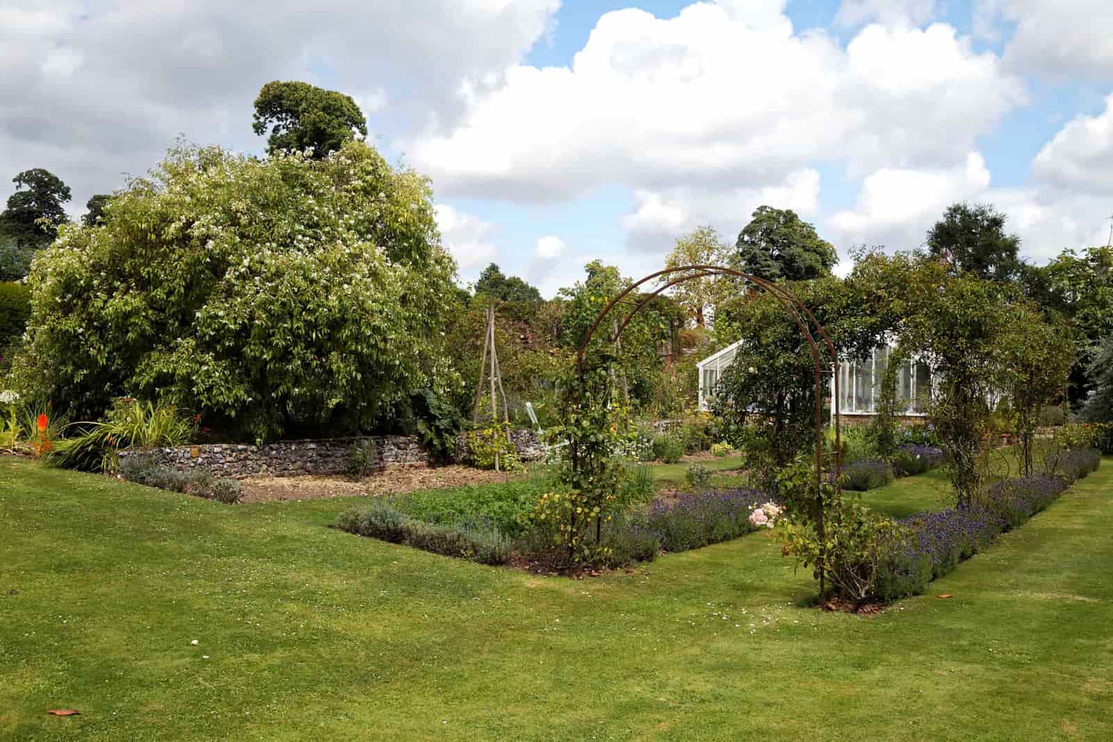 Crisp lawn edge beside a garden path