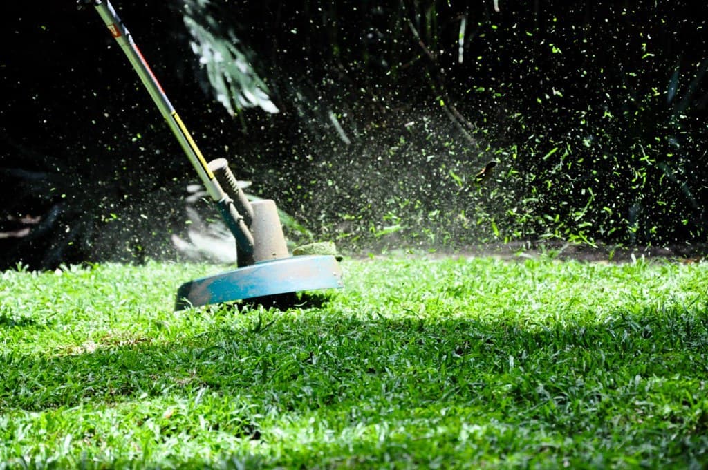 String trimmer cutting long grass at a lawn edge