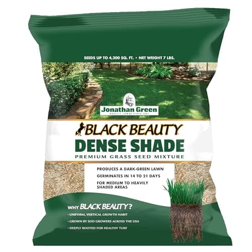 Jonathan Green Black Beauty Dense Shade Grass Seed