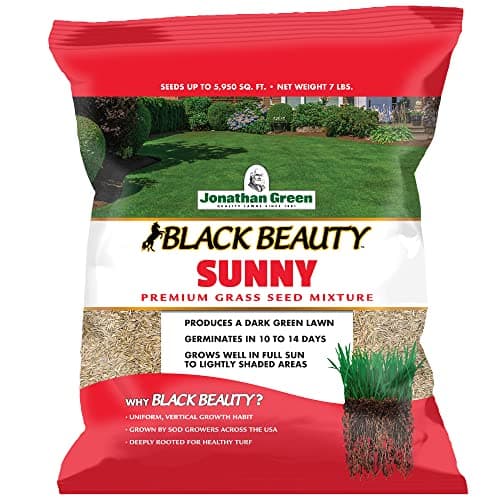Jonathan Green Black Beauty Sunny Grass Seed